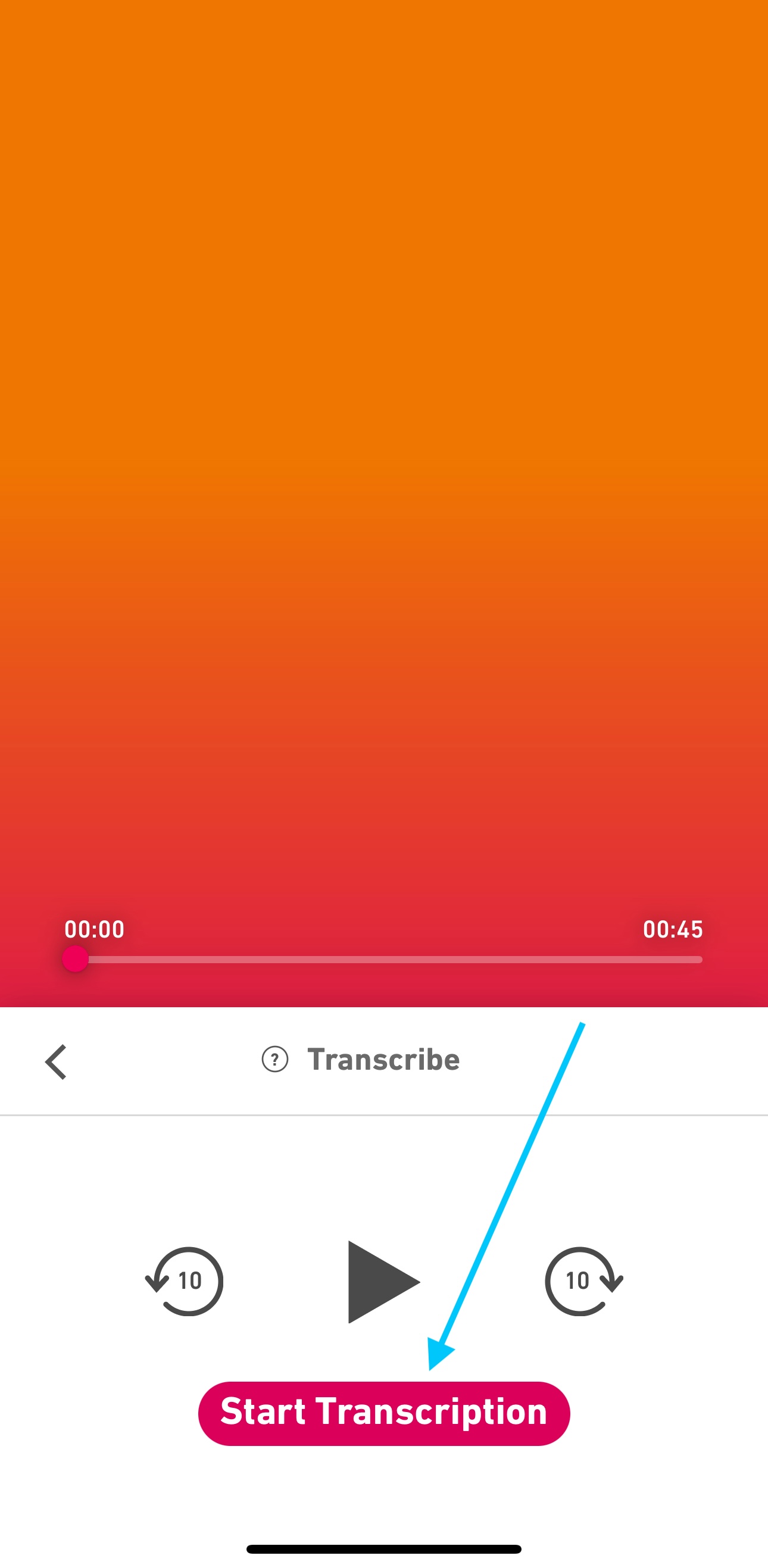 Transcription Screen.jpeg